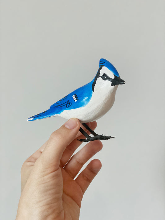 Blue Jay