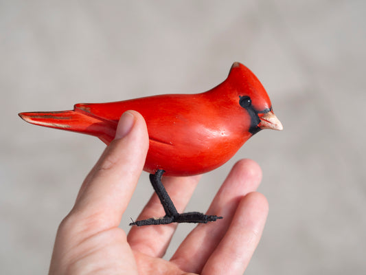 Small Red Bird